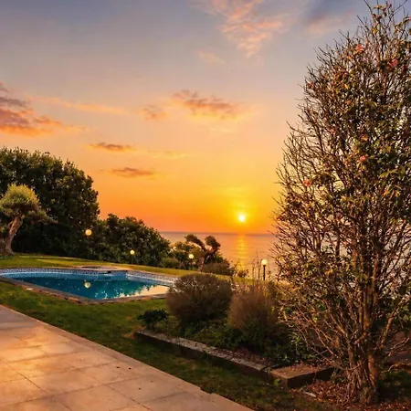 Atlantic Garden Oya